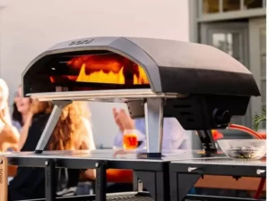 Température four à pizza