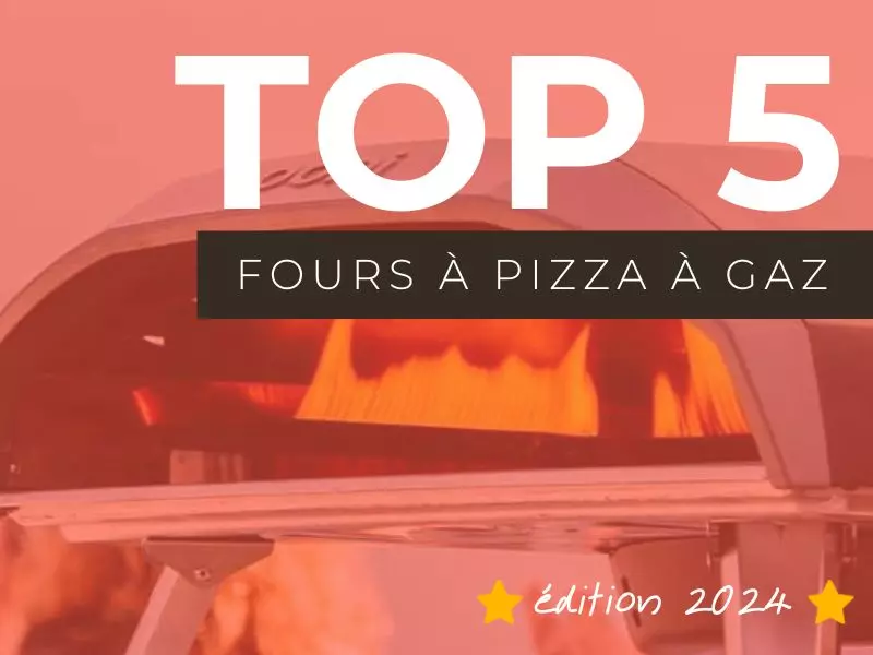 Les meilleurs fours à pizza à gaz de 2024 - Comparatif complet